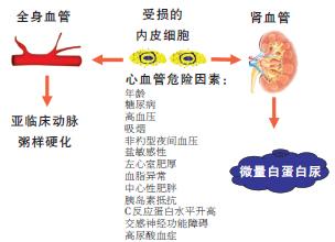 糖尿病肾病3期严重吗,糖尿病肾病饮食原则