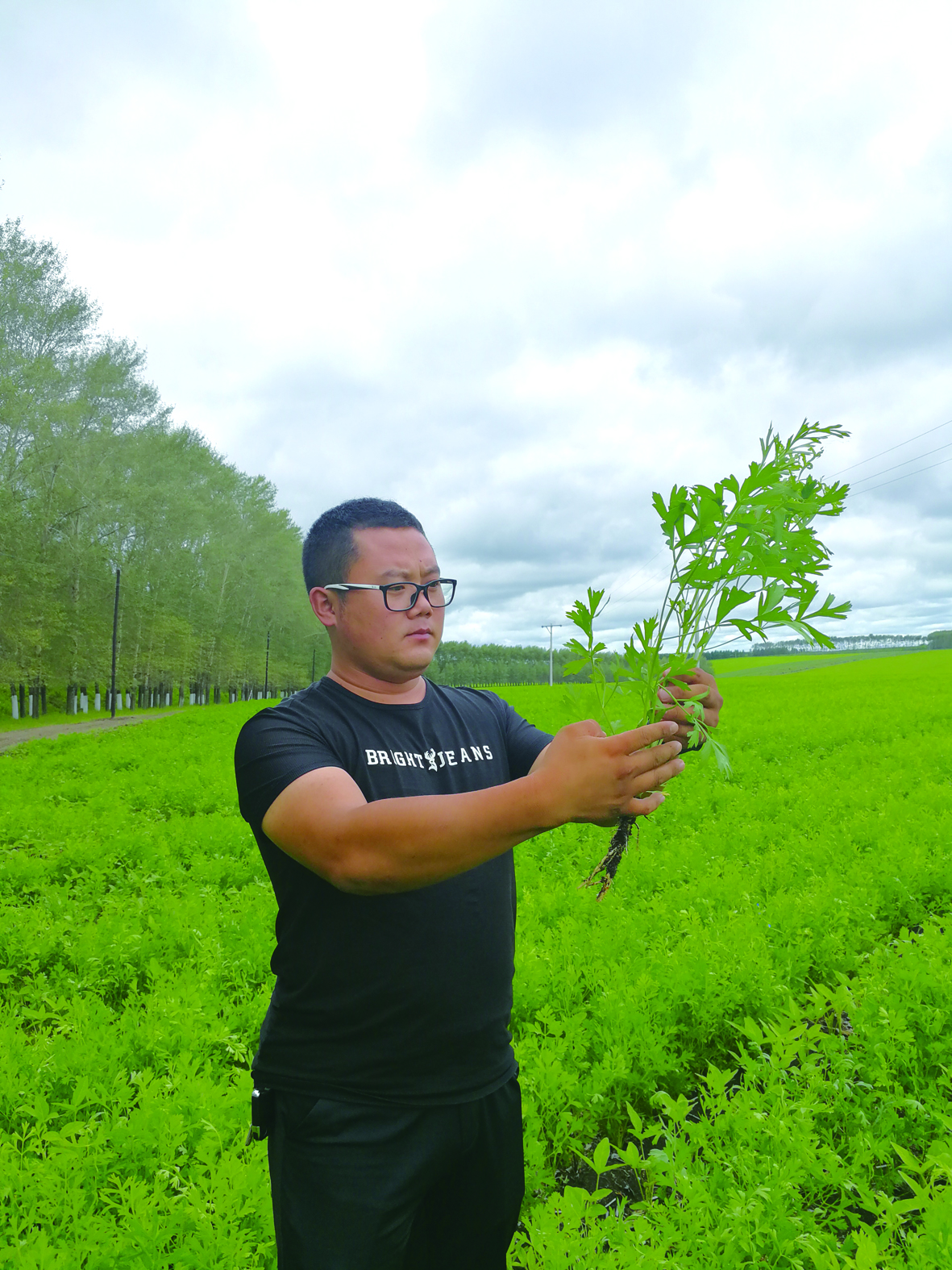 探秘道地药材觅灵芝,寻优质中药材