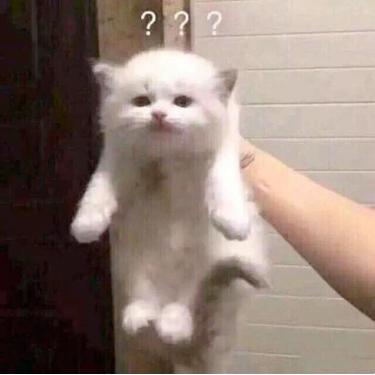 一位减肥伪成功人士的久坐人群防月半指南(附一波良心推荐)