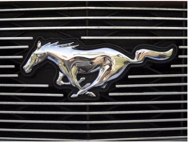 价值几百万的车标有哪些,价值一亿的车遭吐槽