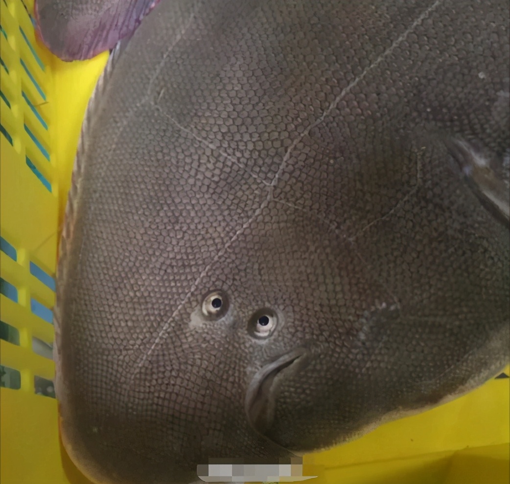 “你们女孩子脱完鞋都这样的嘛?”哈哈哈没想到拖鞋也是一门技术