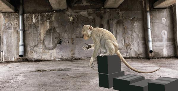 数字媒体艺术热门,数字媒体艺术相关行业的发展趋势