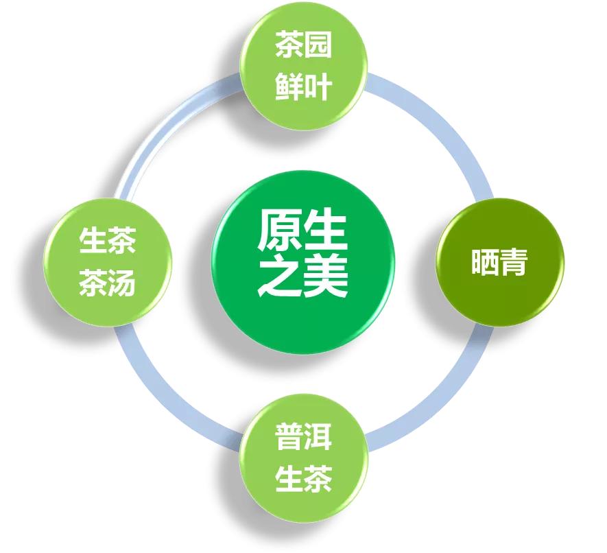 普洱茶小科普,普洱茶英文科普