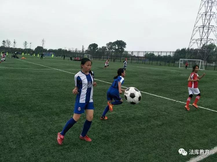 2019沈阳青少年足球联赛,2021沈阳市青少年足球联赛