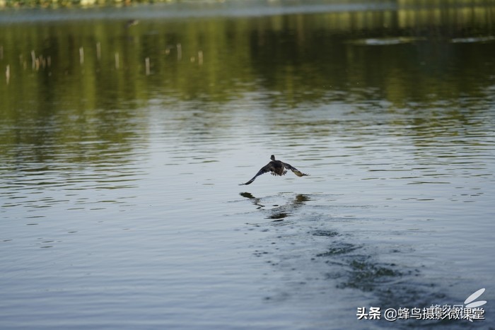 今年会出哪些全画幅微单,最强微单全画幅是r5吗