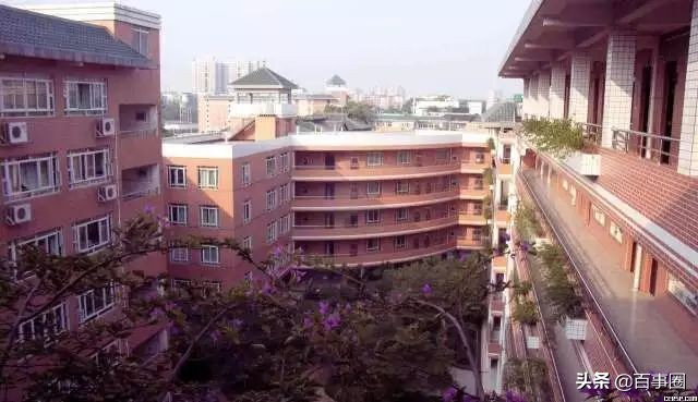 广州荔湾芳村看风景,怀旧广州芳村