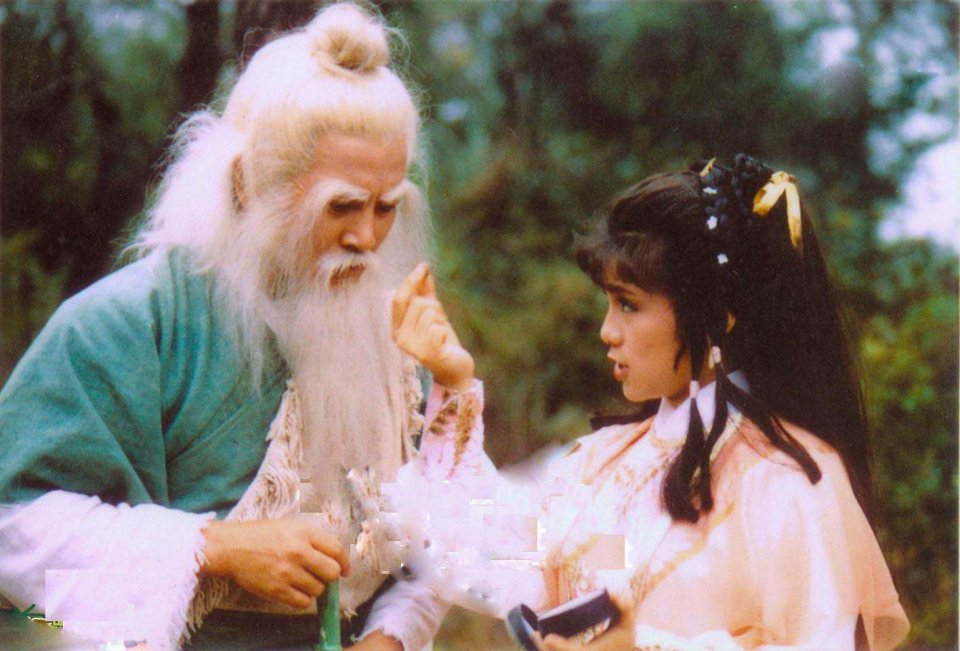 白驼山庄vs桃花岛,射雕三部曲丐帮绝技