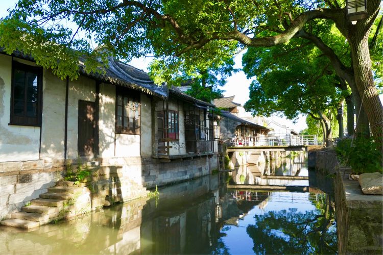 私藏在上海都市深处的古镇，闹中取静，你知道是哪吗？