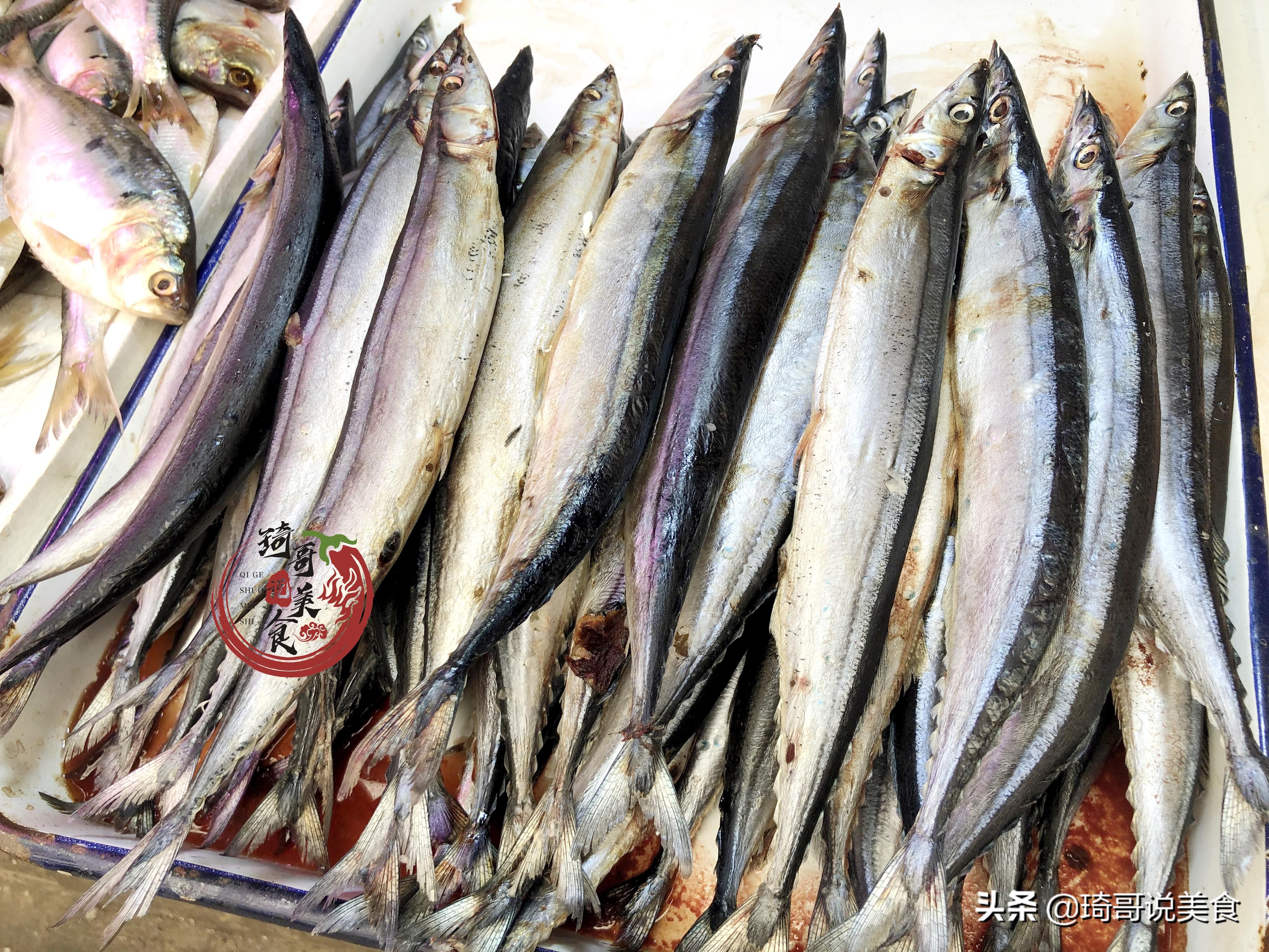 八种好养的野生鱼,哪种鱼又便宜又好养