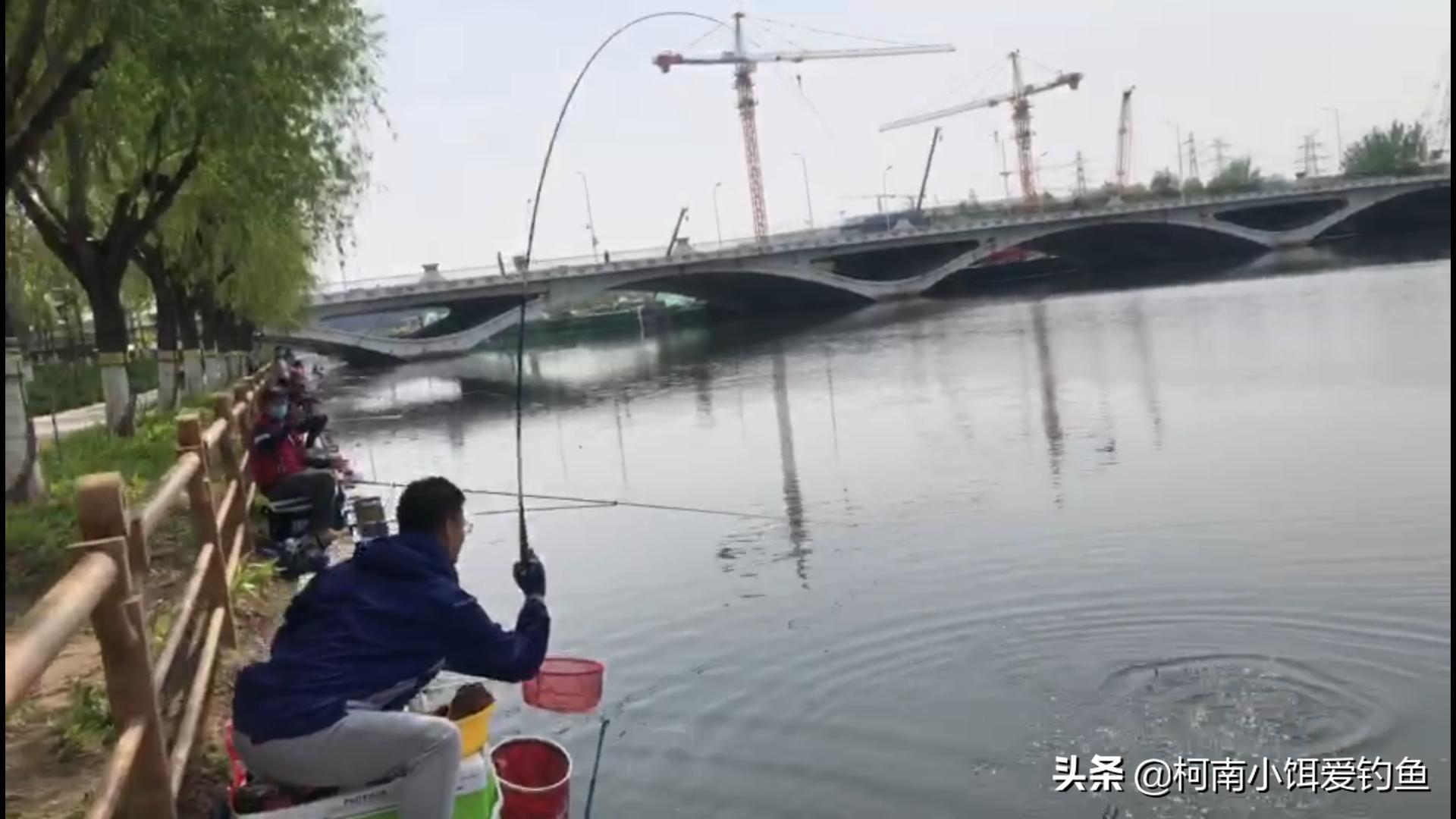 小小的鱼竿竟成为伤害钓鱼人的元凶，请警惕网球肘害你没商量！