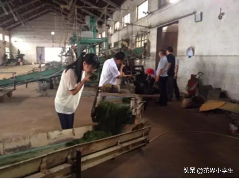 茗皇天然股份现在股价是多少,茗皇天然速溶茶