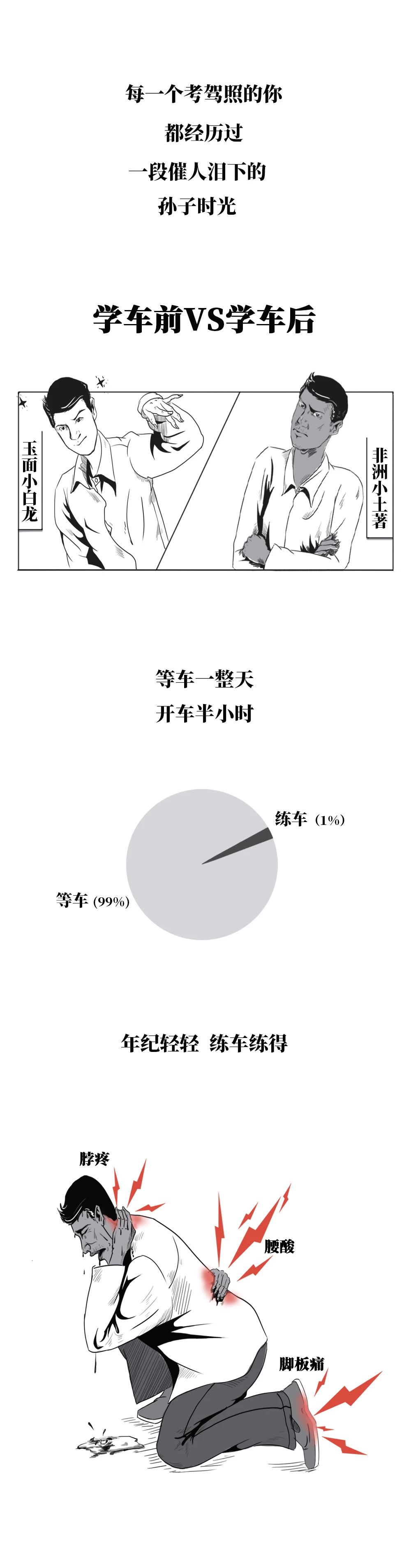 驾照本2016,驾照本大全