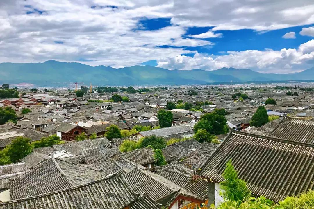 上海治愈系酒店,江浙森系治愈酒店