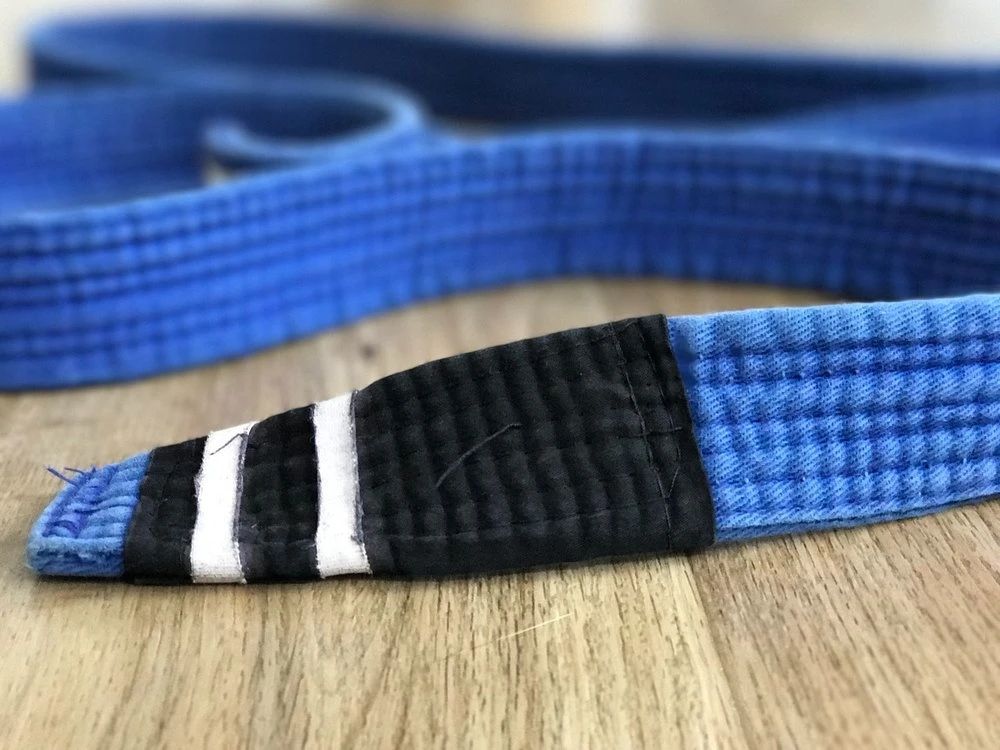 巴西柔术教学日本柔术,巴西柔术入门教学免费下载