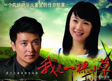 姚芊羽小草春晚,姚芊羽林小草高清剧照