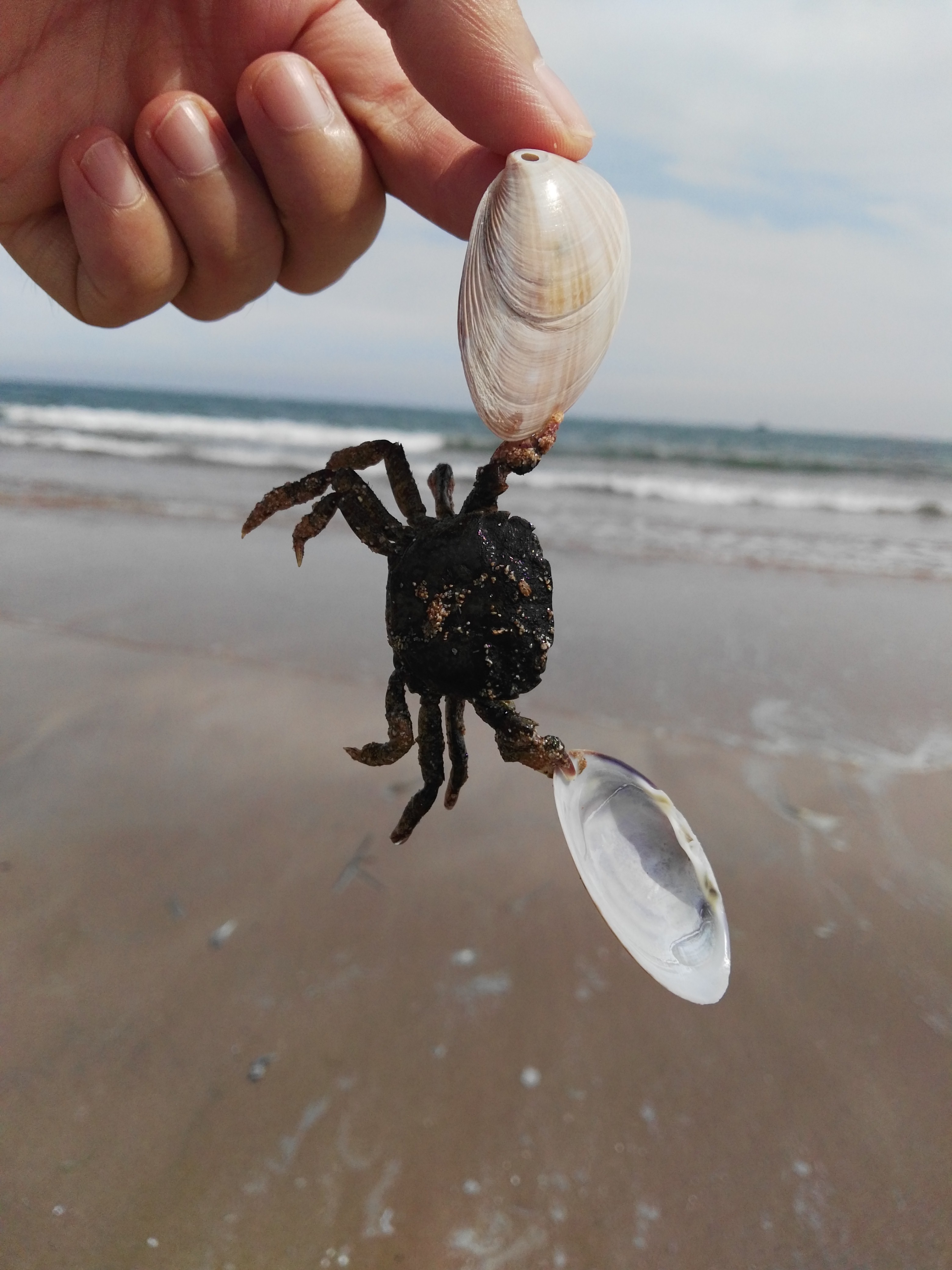 青岛最干净的海洋,青岛最美丽的海
