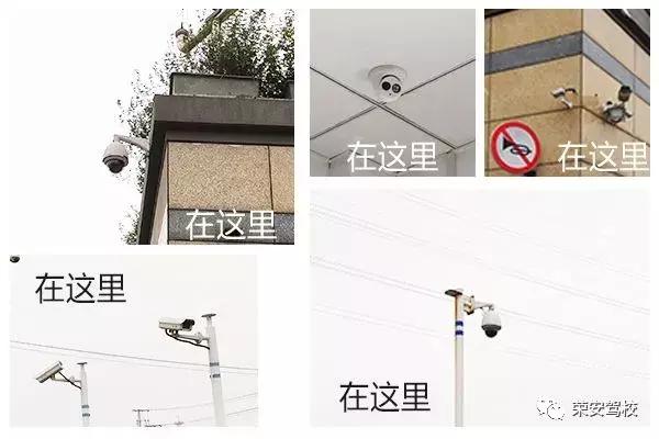 在吗是我小羊咩咩呀,在吗我