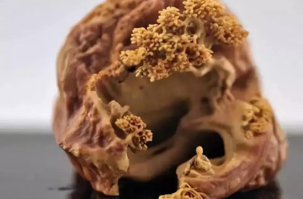 价值240万非洲的原木,雕刻成品出来后震惊全场,一片心疼声!