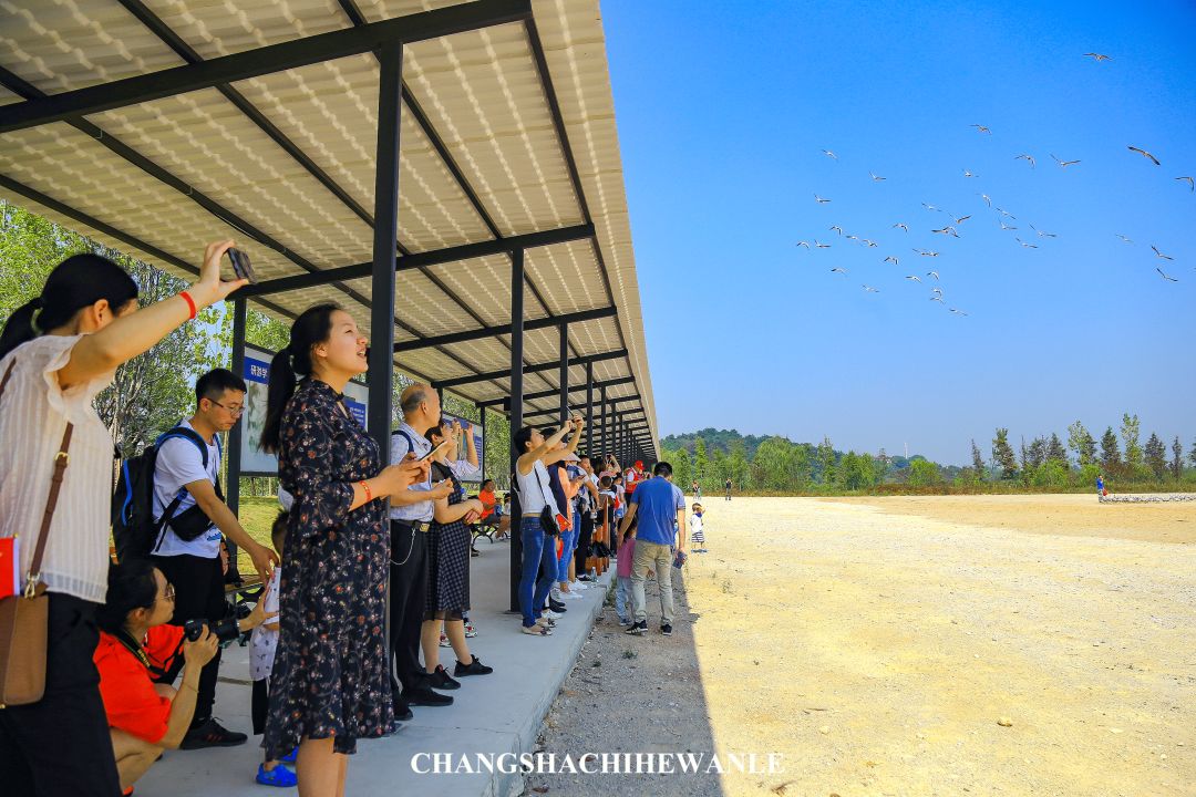 秋天的沙湖美不胜收,洋沙湖旅游