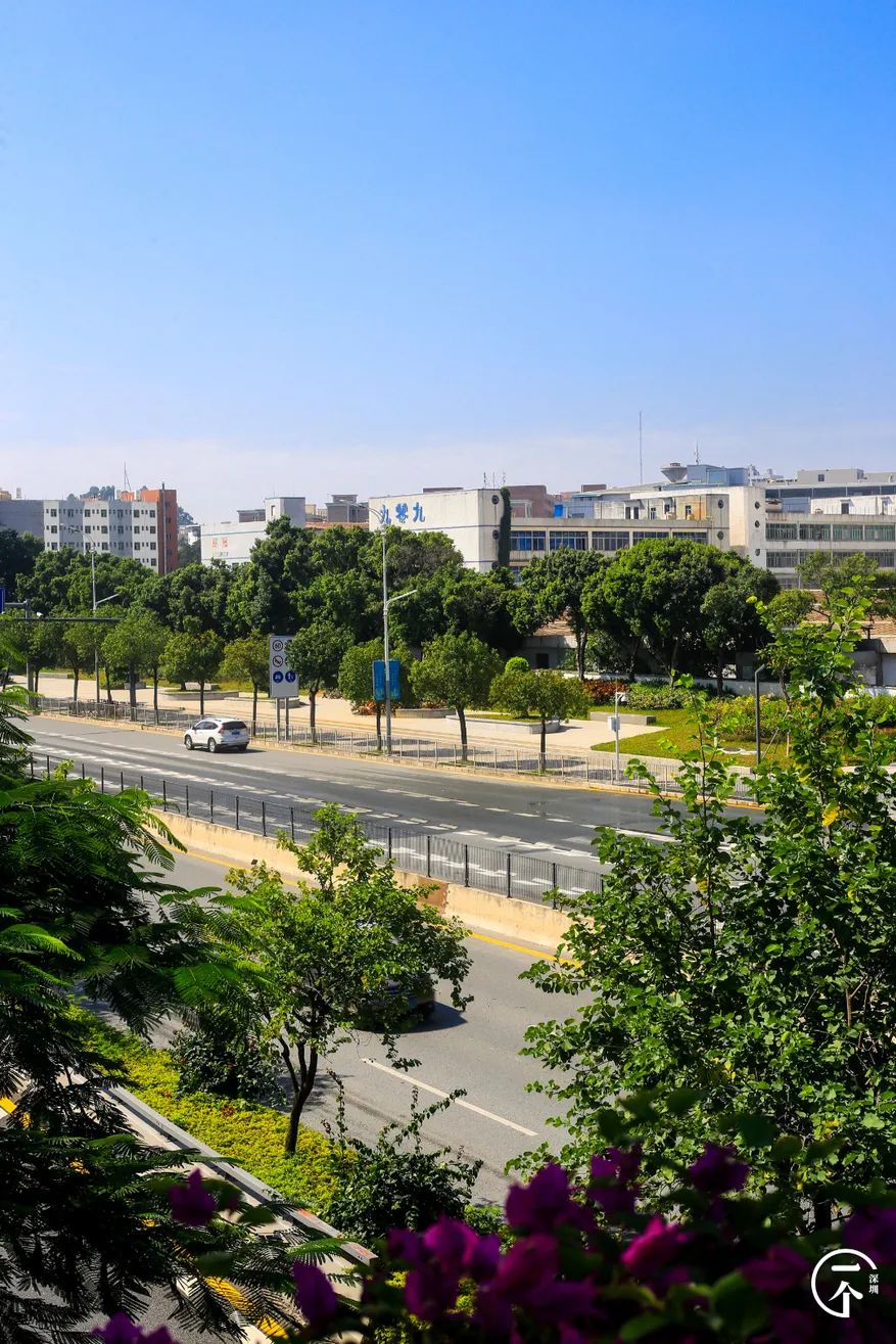 深圳“厂哥村”，女生可以百里挑一？