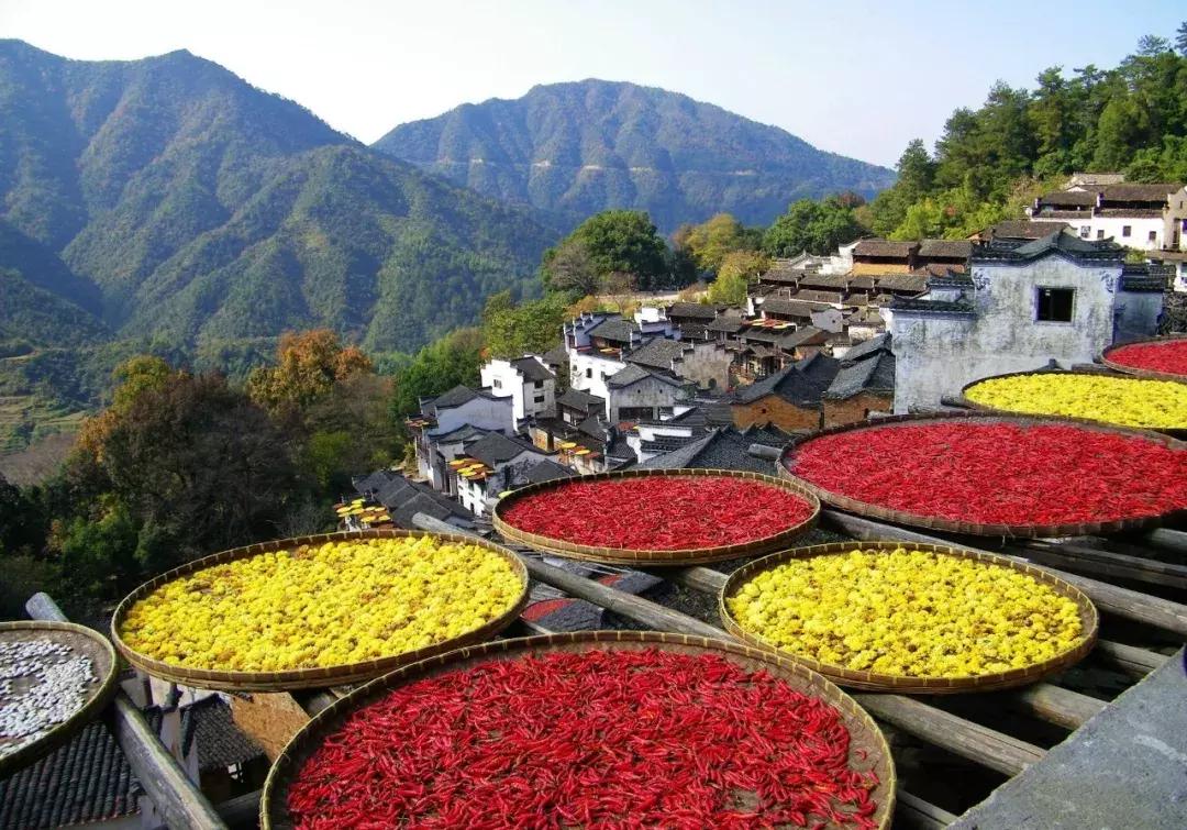 日本一线城市日本人少,日本一线二线三线人口