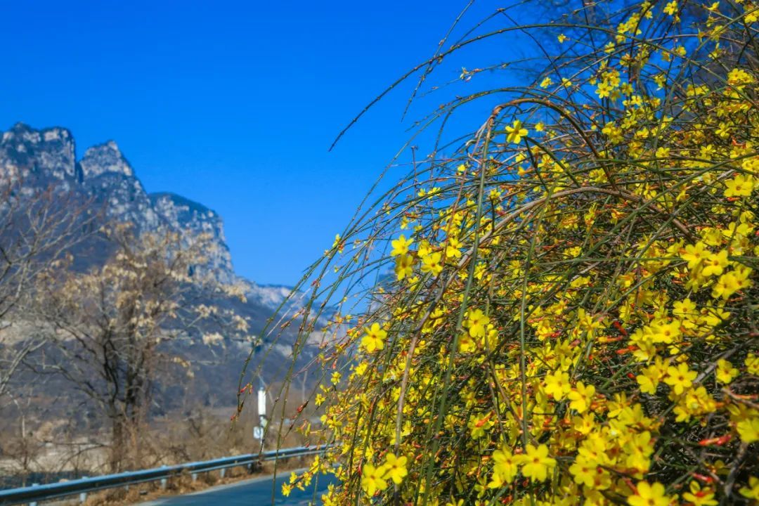 云台山春天视频,云台山气氛