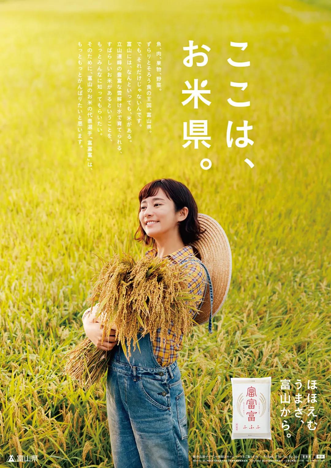 视觉传达设计如何提升美感,如何让品牌设计具有感染力