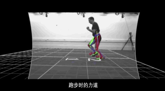 跑步到底伤不伤,跑步到底伤不伤关节