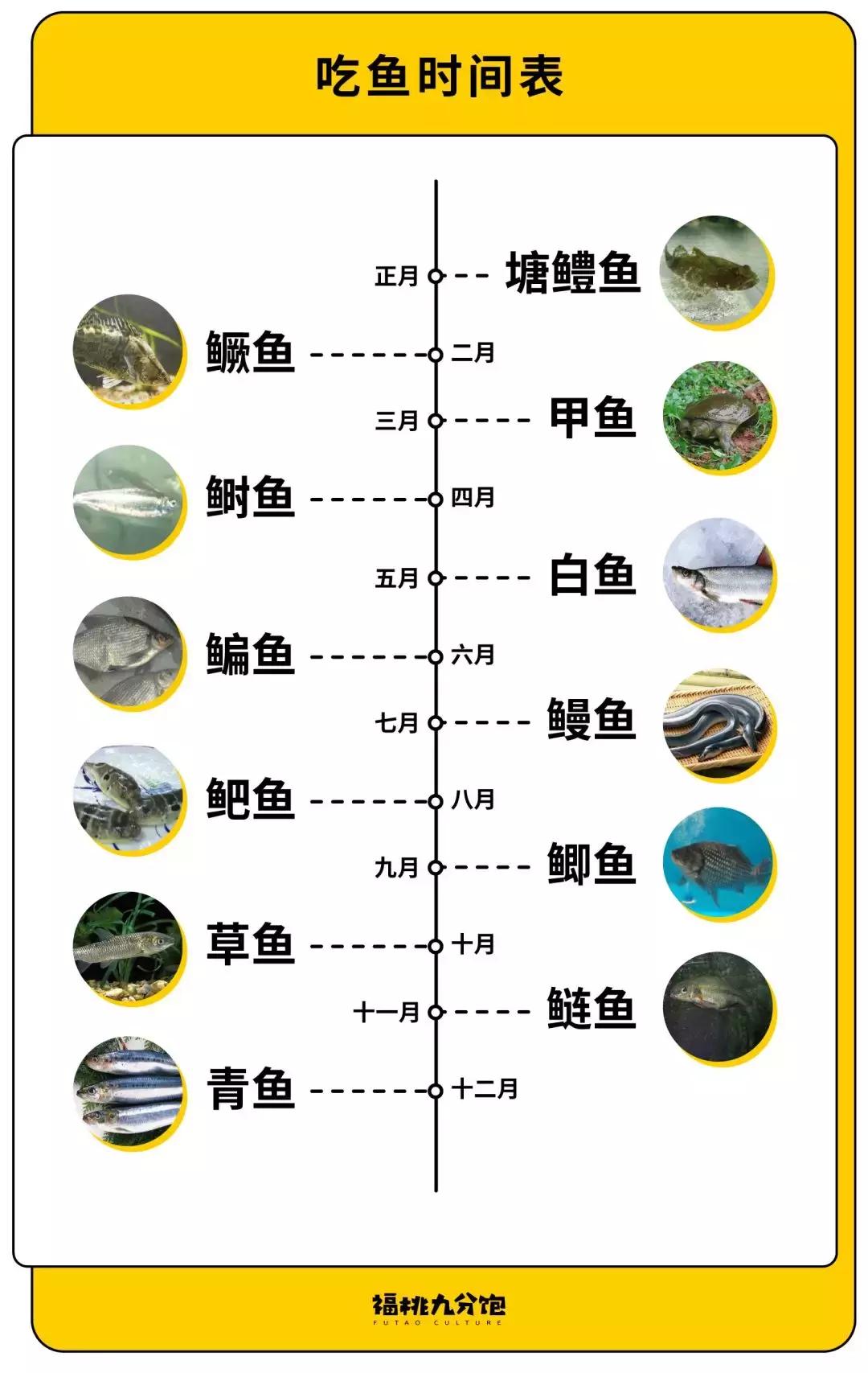 苏州十大好吃的地方排行榜,苏州是江苏第几个城市