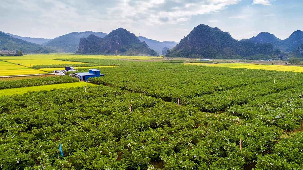 免费游云浮｜如云般洁白轻妙，浮动着向往的生活，云浮免费旅游