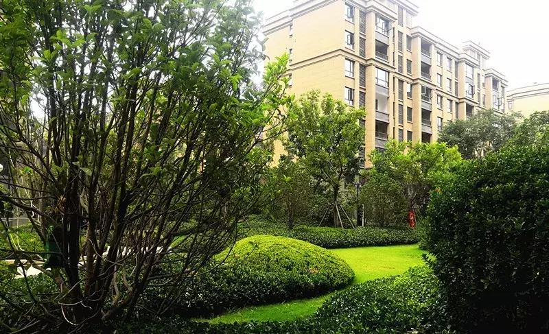 正弘澜庭叙和正弘府,郑州正弘澜庭叙和正弘府怎么选