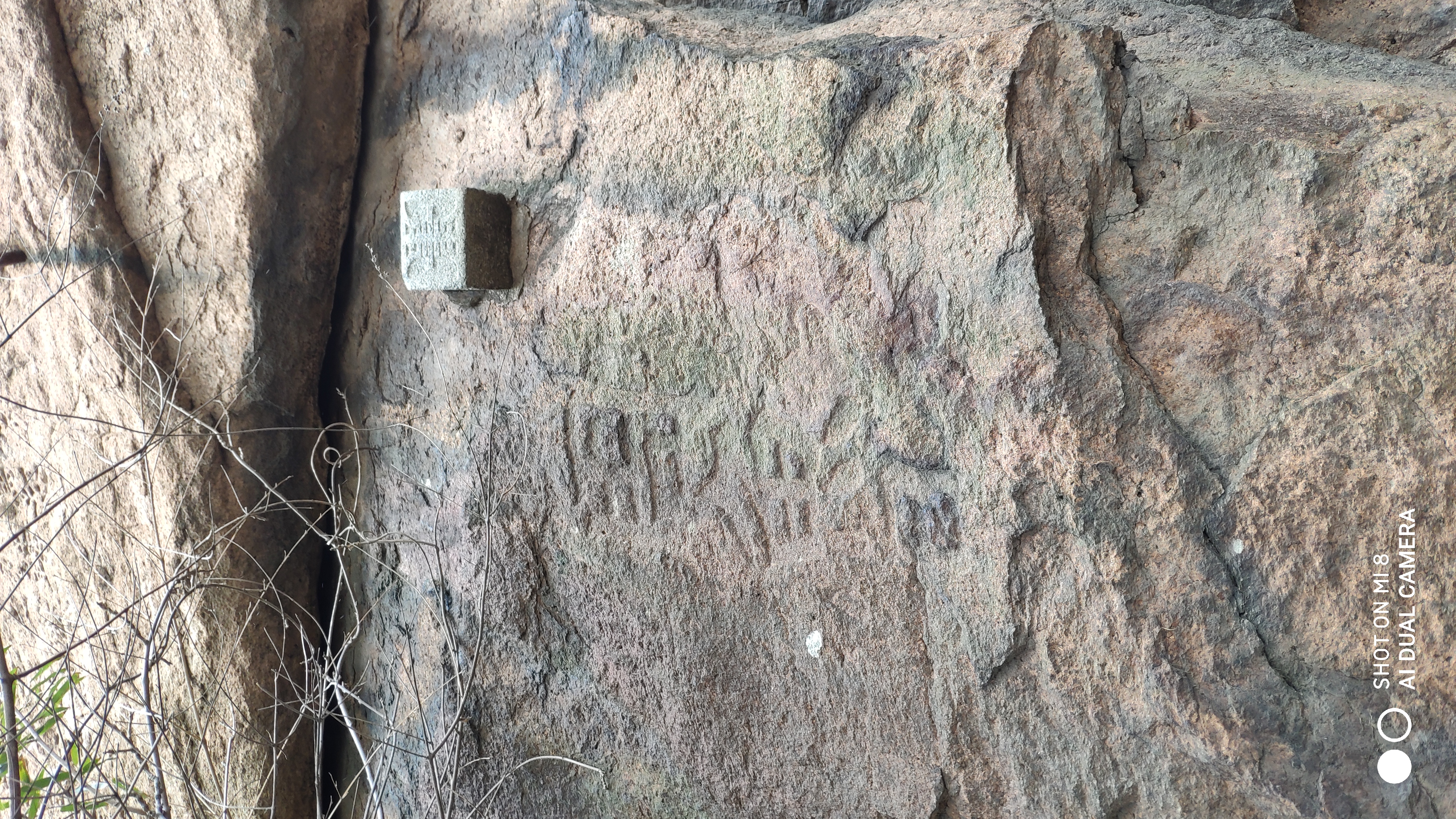 崂山水畔菜蔬鲜，黄石洞中书韵长