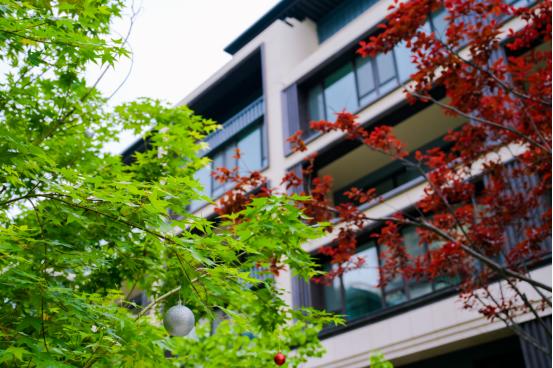 浪漫就是拥有一所静雅庭院院，与你一起云淡风轻