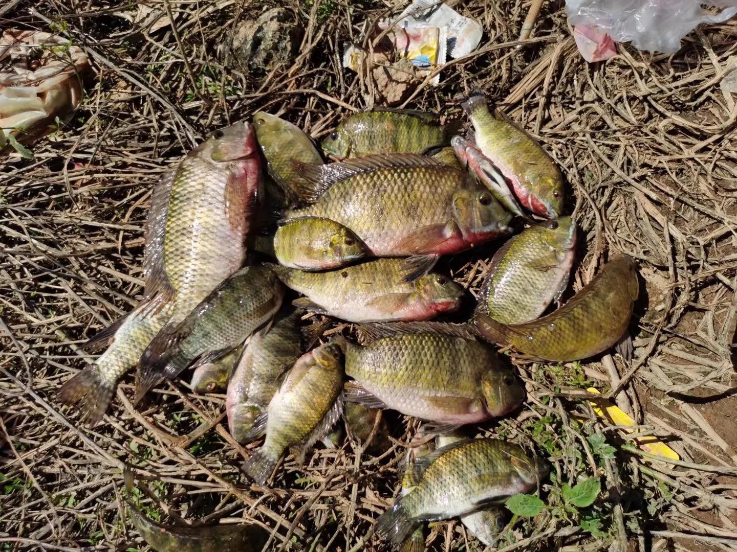 避免小鱼的正确方法,夏季避开小鱼的绝招