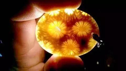 珊瑚玉原石能造假吗,真正的纯天然珊瑚玉图片