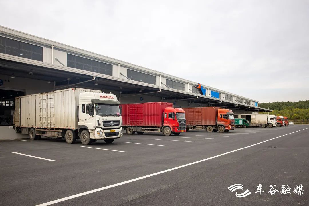 双11菜鸟物流视频,双11菜鸟驿站物流仓库