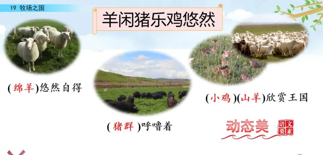 五下语文第19课牧场之国预习笔记,部编版五年级语文下册19牧场之国