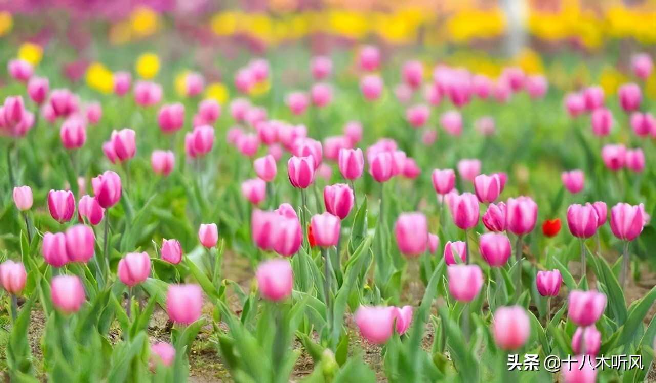 人生路上遇到好的老师,学习路上遇见的每一位老师