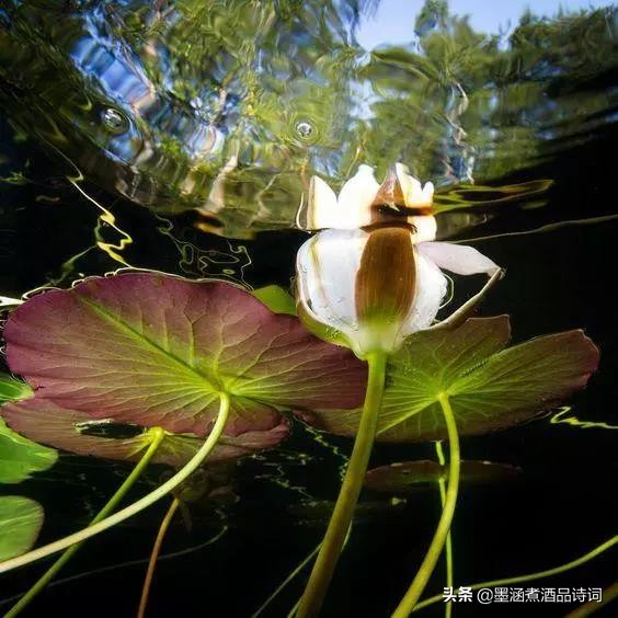 370个成语之最风趣幽默太精辟了,100个幽默成语大全