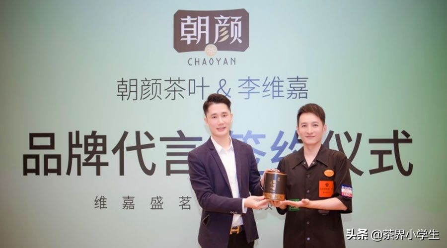 2019年双11普洱茶销量排名,双十一普洱茶排行单品