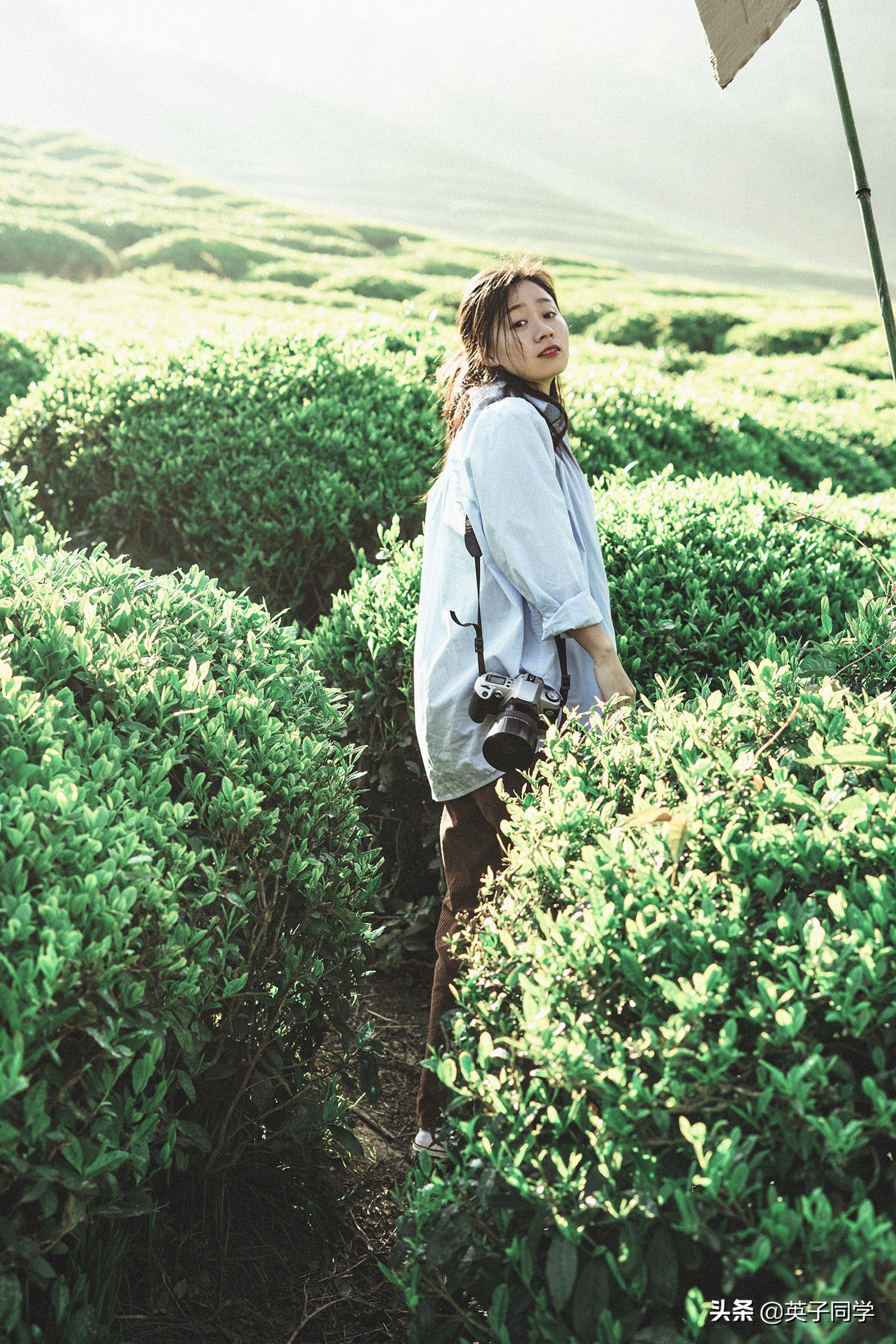 青春旅社拍摄地址,周冬雨民宿图片