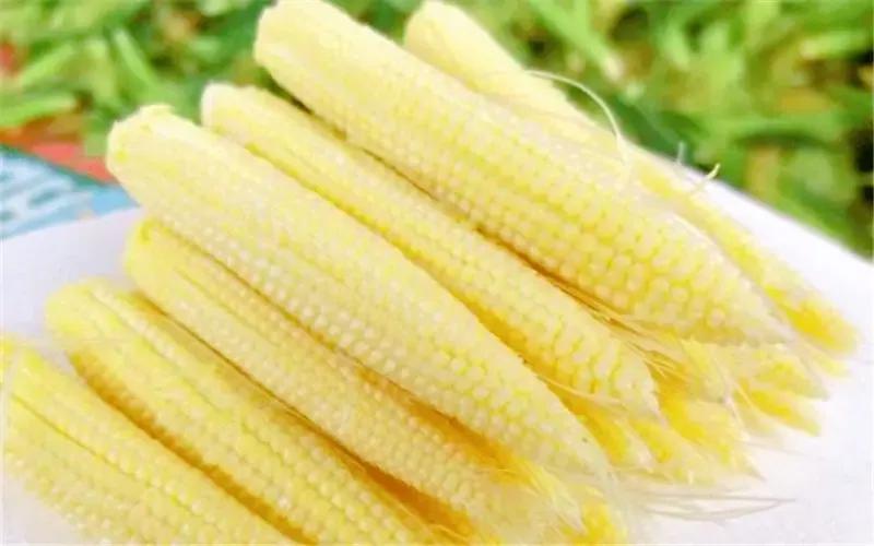 玉米芯儿在韩国怎么吃,玉米芯韩国食用