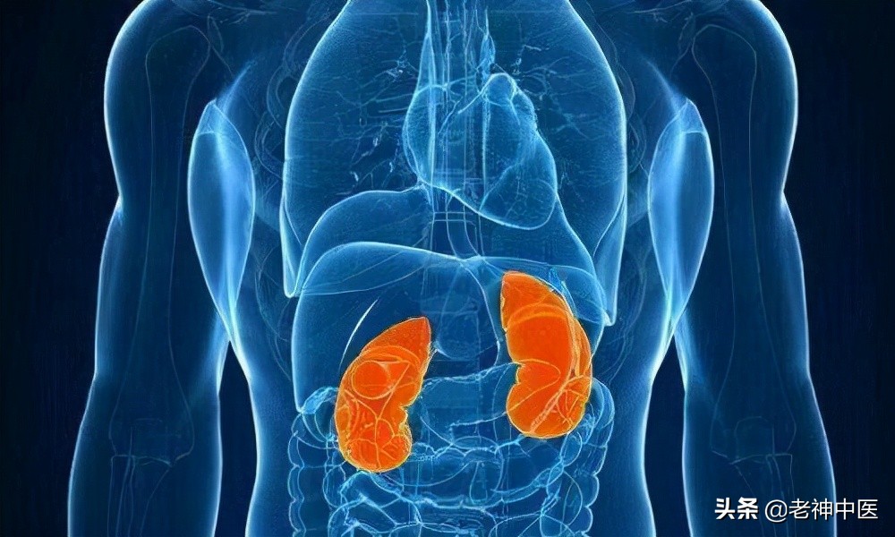 「中医案例」中医治愈糖尿病肾病，案例分析；糖尿病肾病如何分期