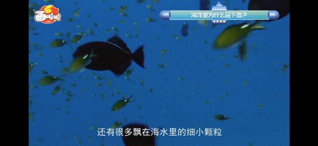 画啦啦小灯塔官方拼团,小灯塔拼团群