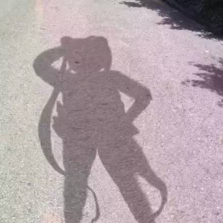 把狗毛都剃了狗会生气吗,把狗毛全部剃完跳蚤就没吗