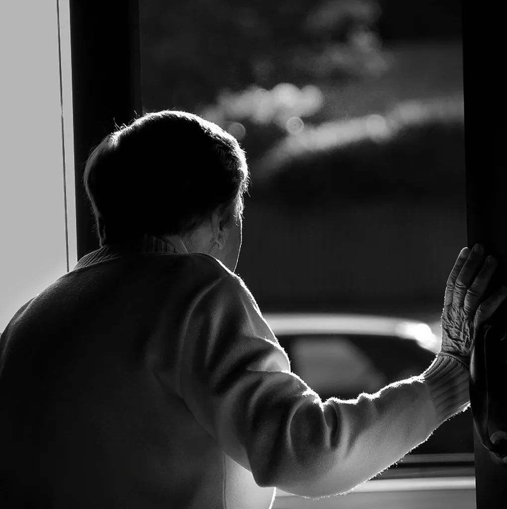 2021年公认最强老人智能机,中国老年人智能机普及率