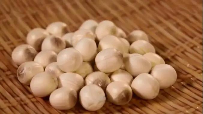 池塘里的“天然降脂药”，能吃能喝，能泡澡！还有这两个“养身宝”，你也别错过