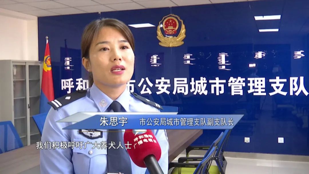 狗证如何线上办理,哈尔滨线上办理犬证