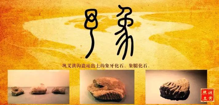 向世界推介美丽的家乡,向世界推介洛阳