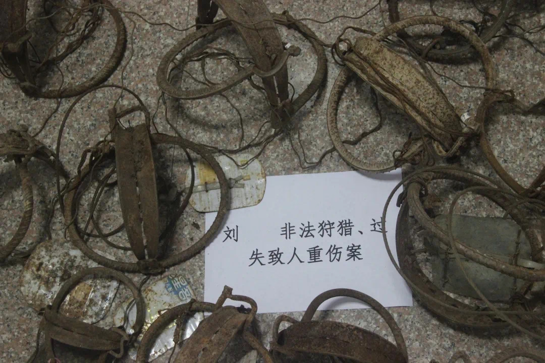 多部门推动野生动物公益司法保护,野生动物保护公益诉讼检察建议